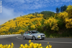 510331065_10165466773466632_6550092335750847003_n