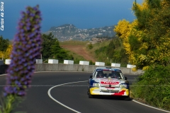 510655210_10165466773316632_5705295407931088329_n