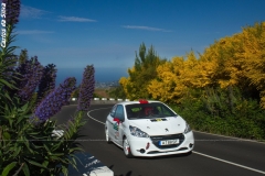 511114612_10165466774291632_2641020335829753188_n