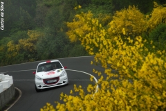 511202703_10165454521691632_4415553277684264175_n