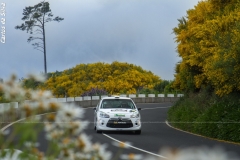 513707853_10165466774406632_4299348244078402722_n