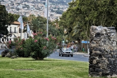 444753356_8079623312057019_2482591699868989176_n