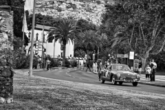 447182679_8079622055390478_1888303088461382874_n