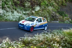 339562279_878936099876295_4129189332920230850_n
